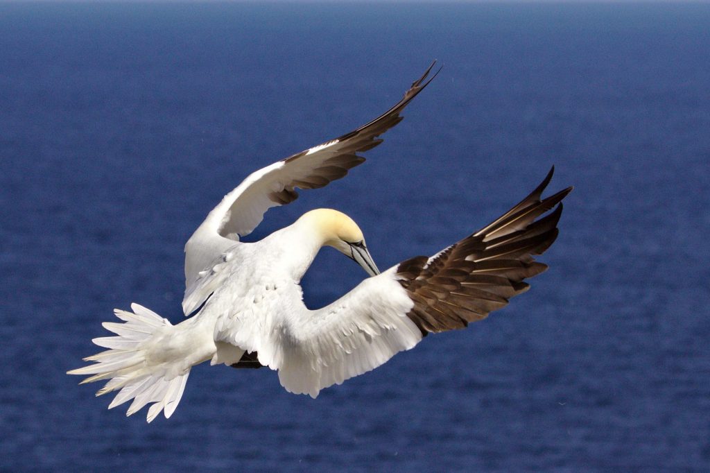 benoit-gauzere-w17dlZDxodA-unsplash