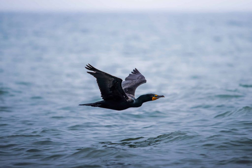 jeremy-hynes-HBEG3c6hxXg-unsplash